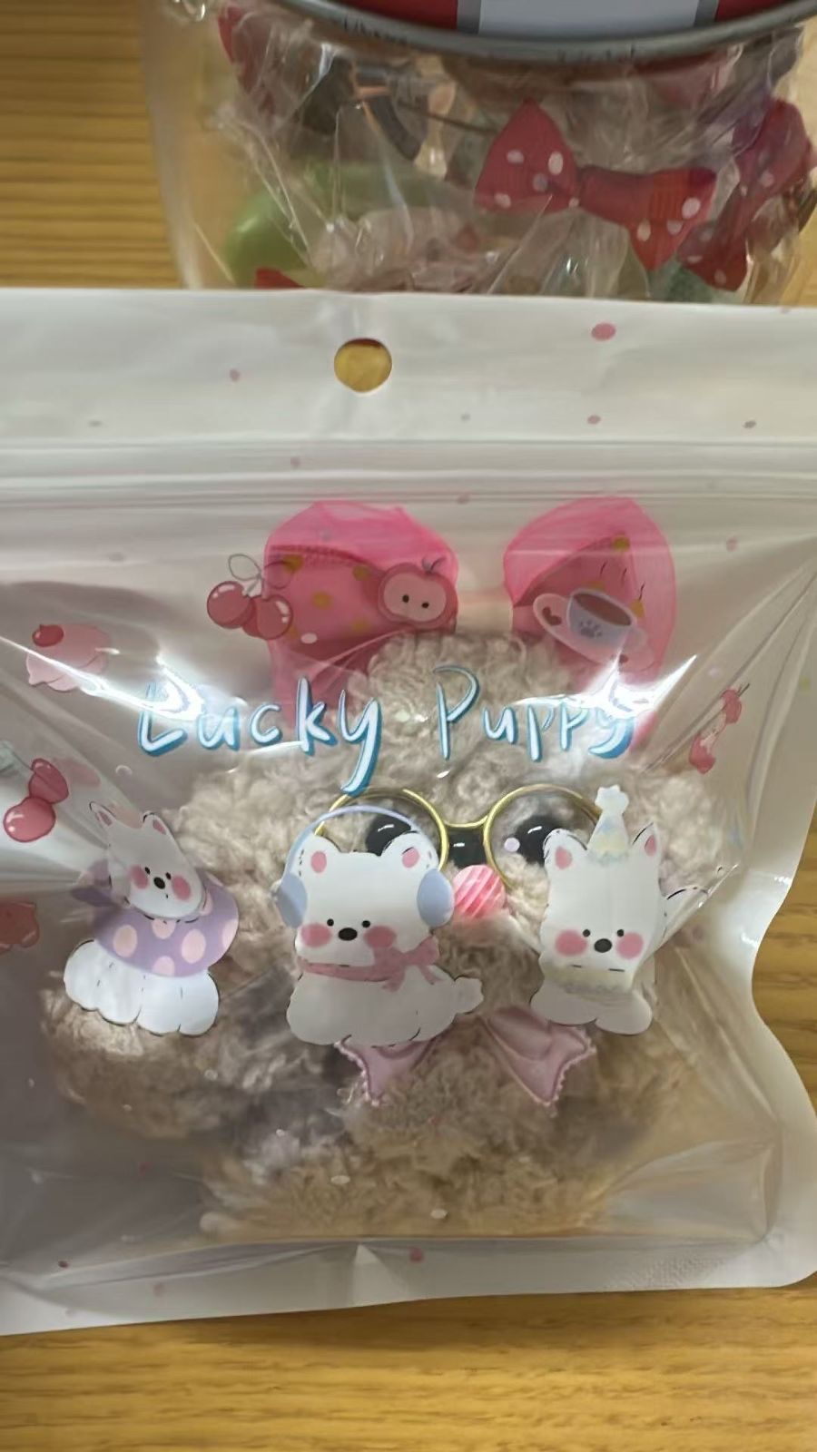The beige dog doll seen through a clear bag printed with illustrations