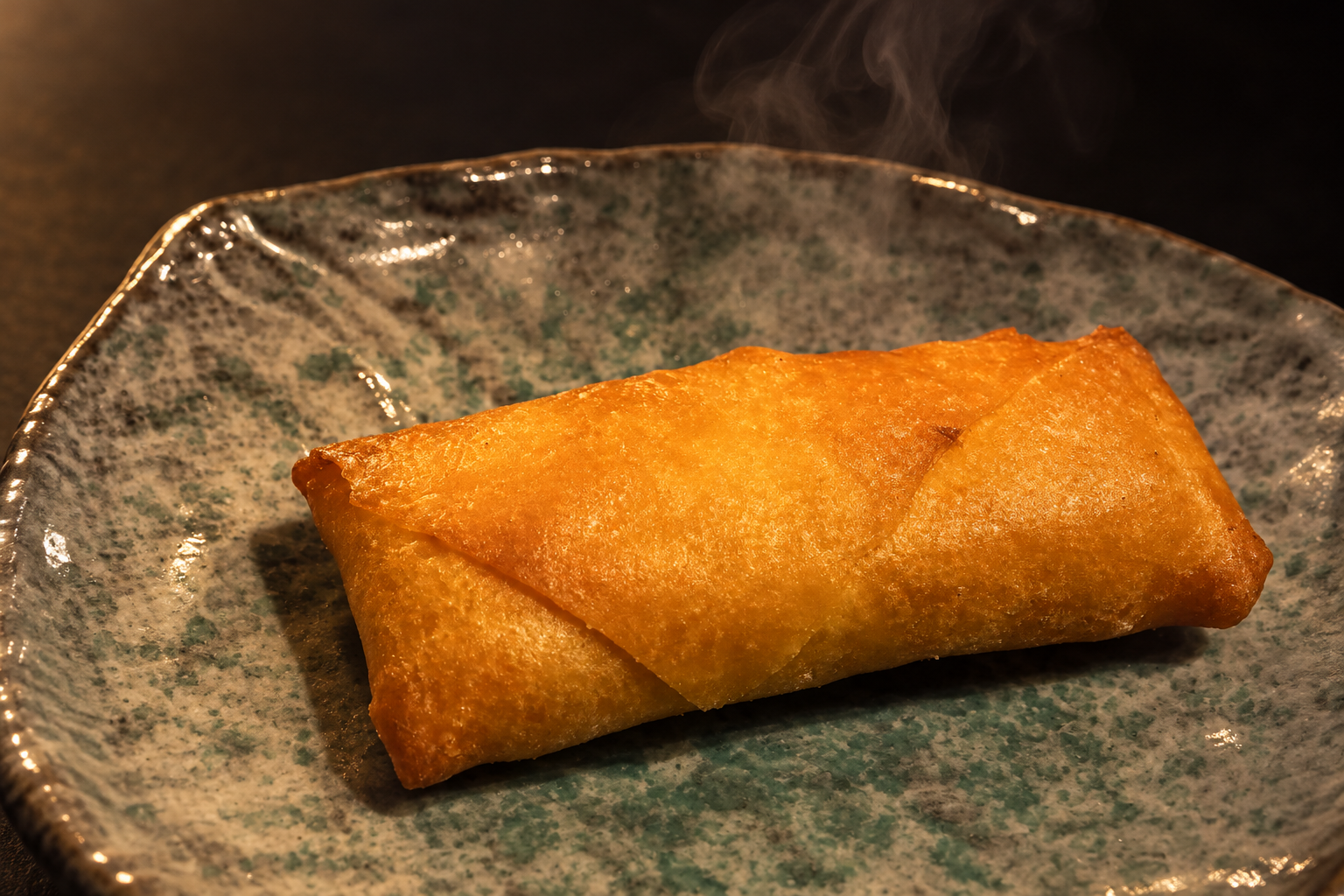 A single golden fried spring roll on a grey plate with green speckles, against a dark background