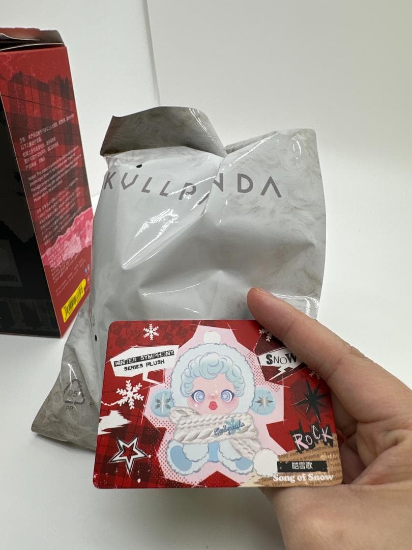 Unedited listing photo of the gray inner bag, box side and a hand holding the Song of Snow card